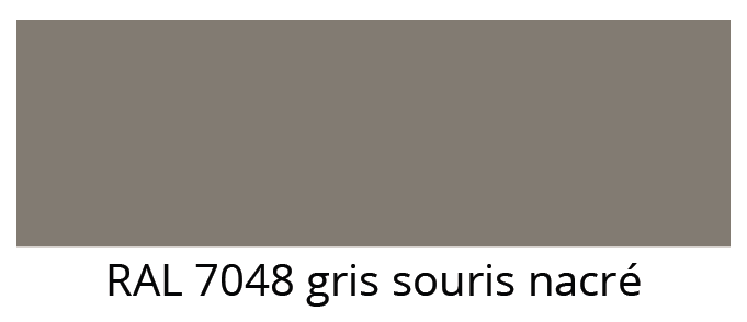 ral 7048 gris souris nacre